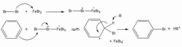 alogenazione del benzene alogenazione del benzene