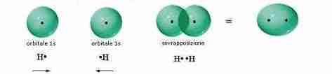 imagesCA1YCFOE imagesCA1YCFOE