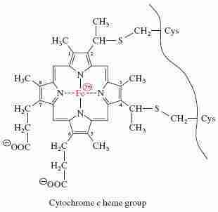 hemoglobin_cytochrome_c_heme hemoglobin_cytochrome_c_heme