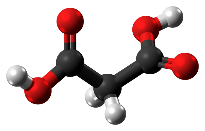 Malonic acid molecule ball from xtal e1620224282511
