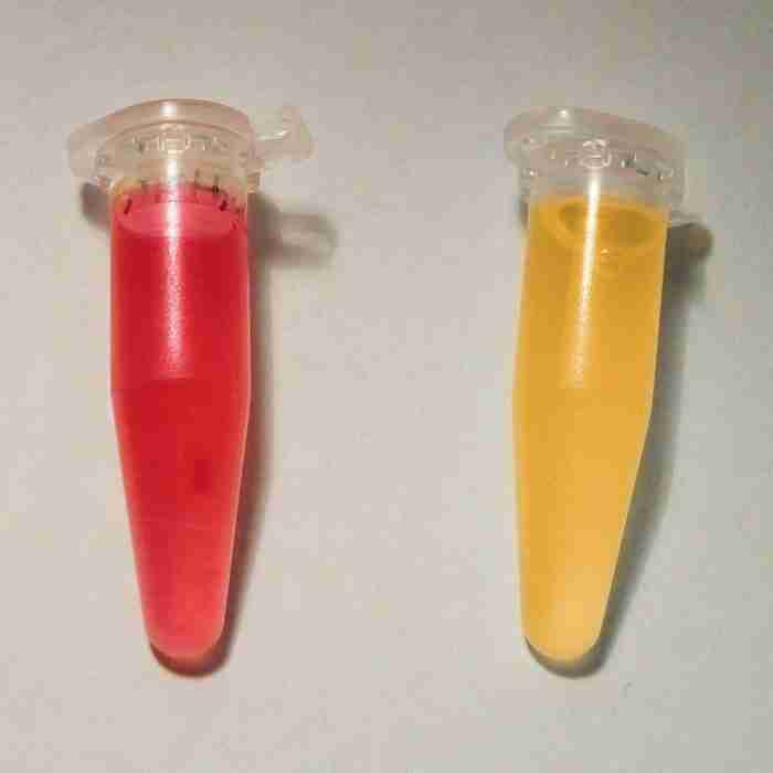 Methylrot Probe methyl red test e1623249784712