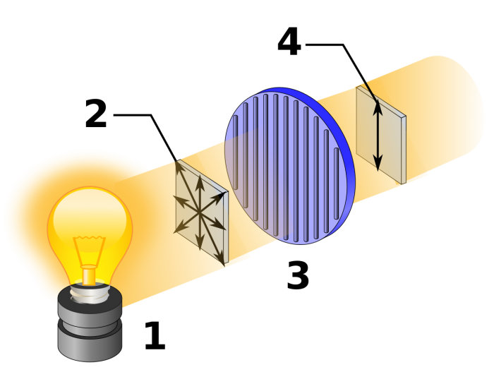luce polarizzata