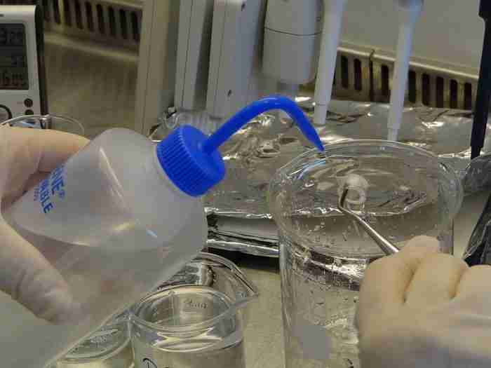 soluzioni tampone biologiche