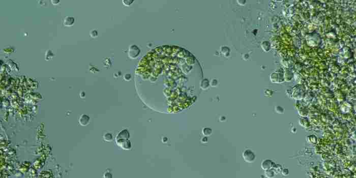 Calcoli sugli equilibri da dati di pressione osmotica chimicamo e1618548619770