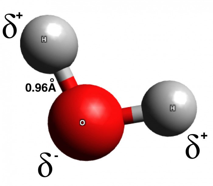 polarità delle molecole chimicamo e1618503337293