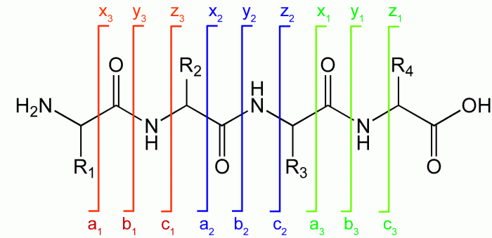 frammenti