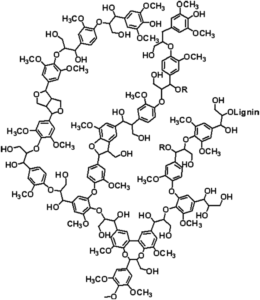 struttura struttura