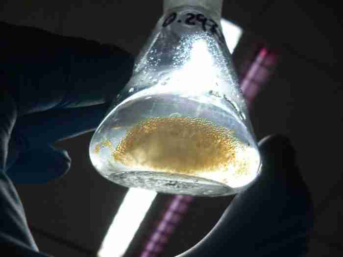 biocarburanti