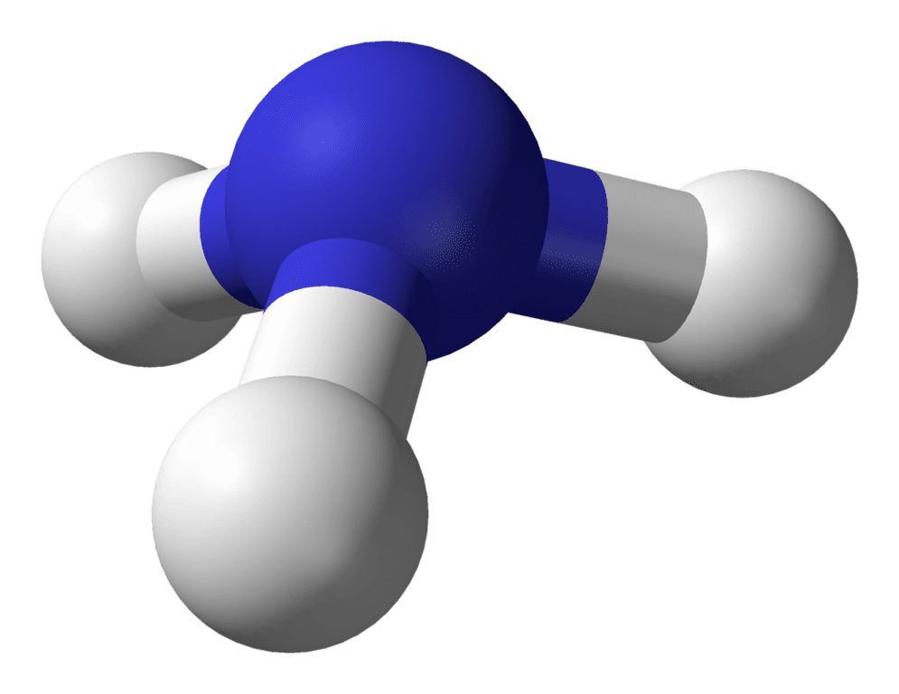 ammonolisi
