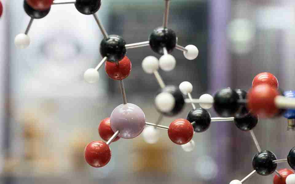 determinazione dell'ossalato