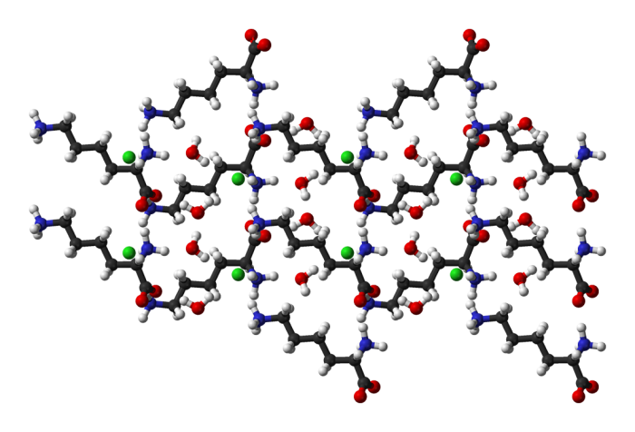 amminoacidi essenziali