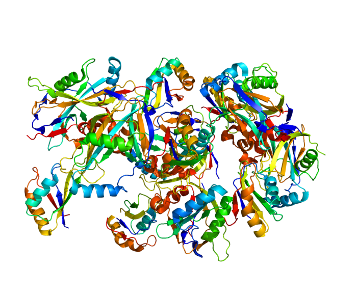 Protein CPSF6 PDB 3P5T e1622304808464