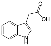 acido indol-3acetico