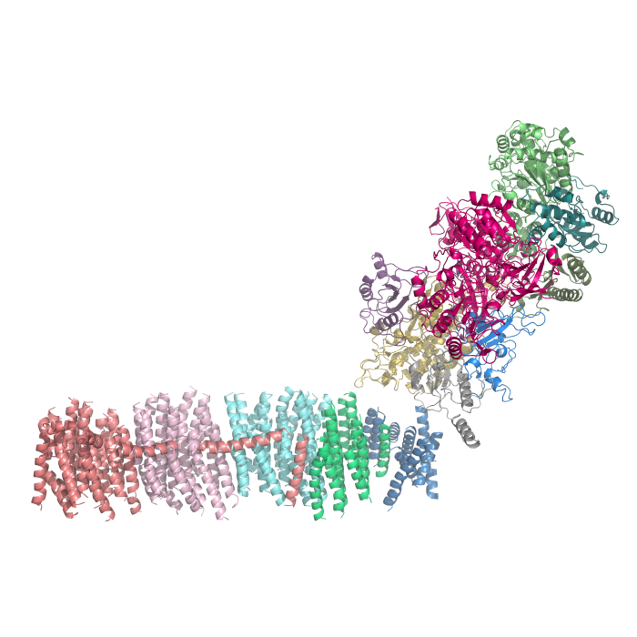 reazioni redox in biochimica