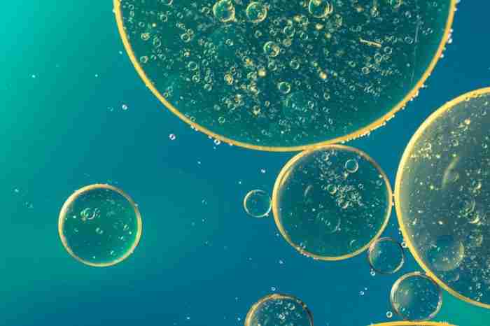 spontaneità delle reazioni biologiche