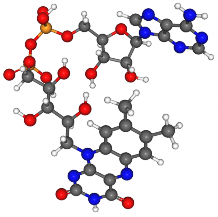 reazioni metaboliche