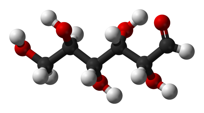 glicolisi