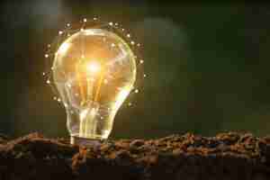 lampadine lampadine