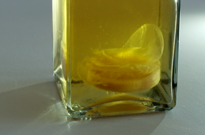 Mother of vinegar e1621431733154