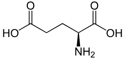 struttura struttura