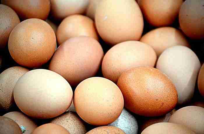 fresh eggs e1621156581169