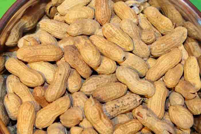 allergie
