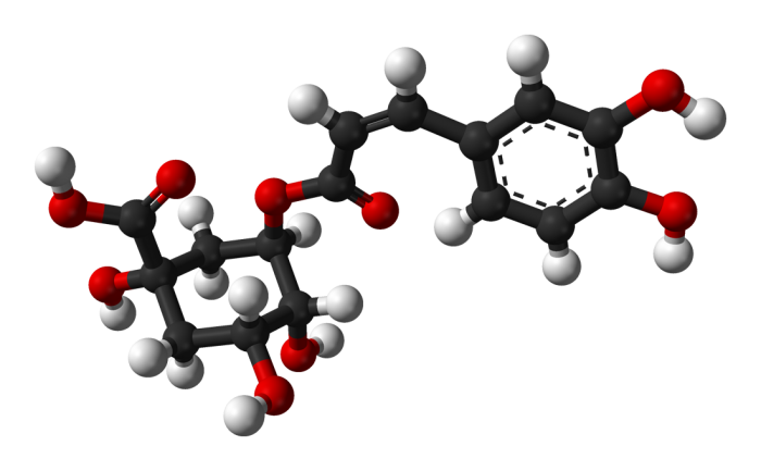 Acido clorogenico attività farmacologica e1620580330428