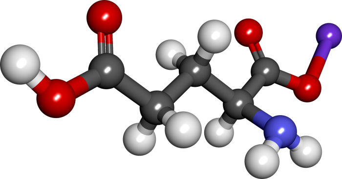 Glutammato monosodico e1620578103608