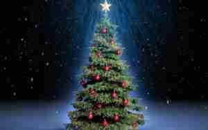 La chimica dell’albero di Natale