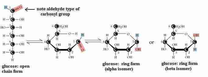 glucosio