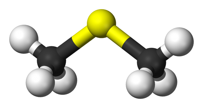 Dimethyl sulfide 3D balls e1617874793692