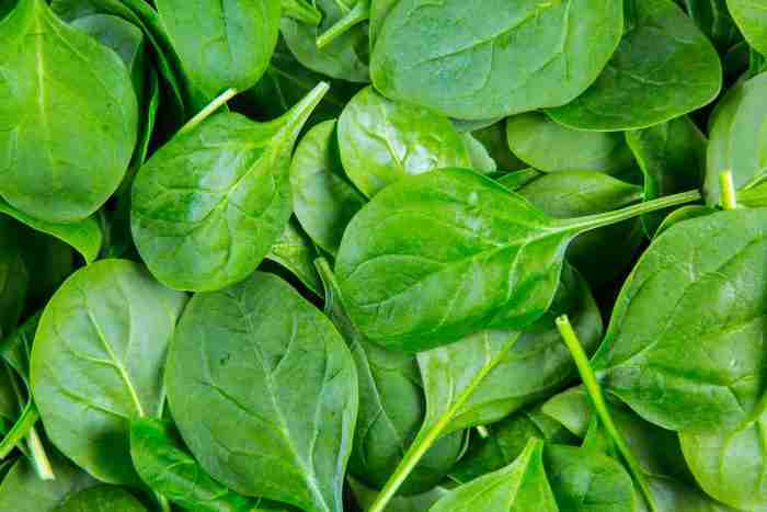 spinach leaves 1461774375kTU e1619275417109