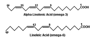omega 3 e omega 6