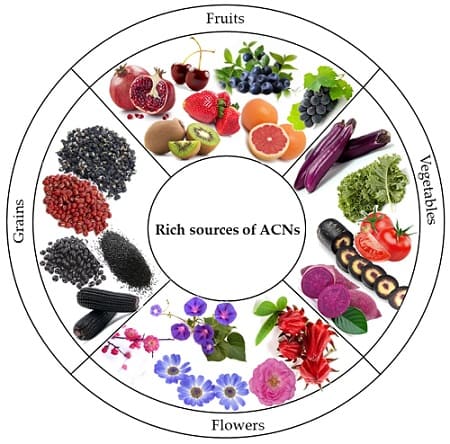alimenti ricchi di antocianine