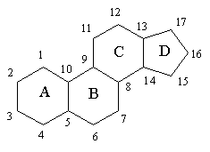 struttura steroidi