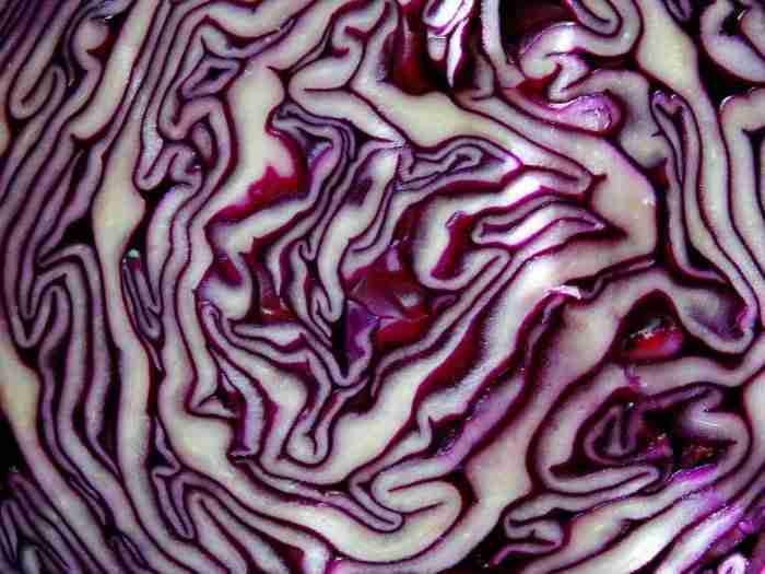 Indicatore al cavolo rosso chimicamo e1616479208576