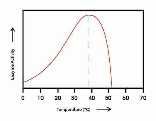 effetto della temperatura