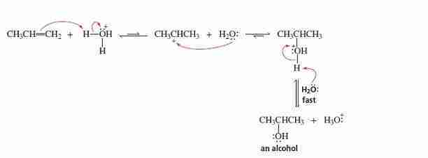formazione di alcol