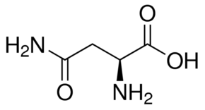 asparagina