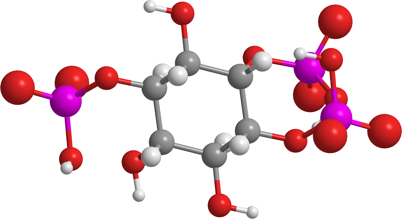 Metatesi organiche chimicamo