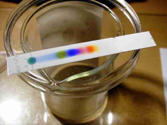 pH e contributo della dissociazione dell’acqua chimicamo e1617063626652