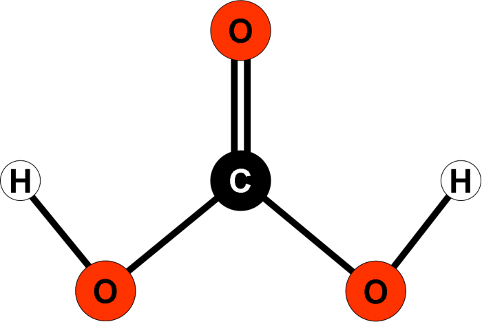 Acidi diprotici chimicamo e1616738673315