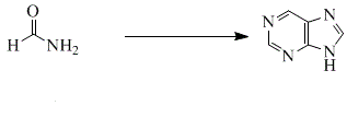 sintesi purine