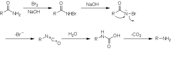 hofmann