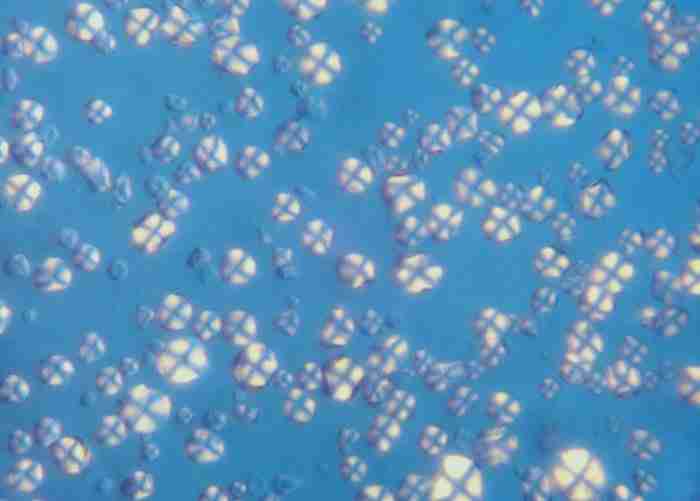 Complessometria costruzione della curva di titolazione chimicamo e1616520904502