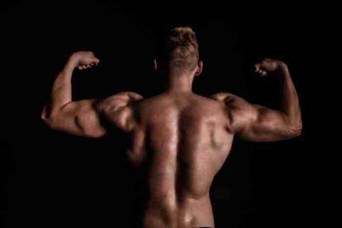 Nandrolone chimicamo e1616393140555