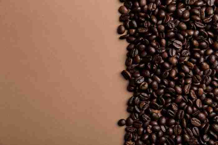 Acido caffeico chimicamo e1616347882385