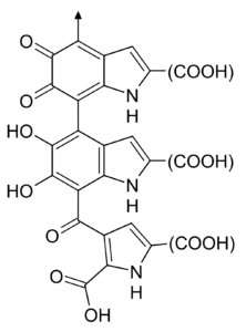 melanina melanina