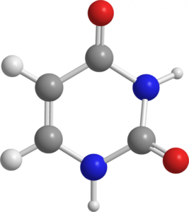 uracile uracile chimicamo