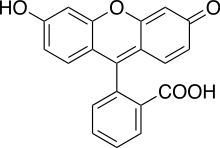la fluoresceina- struttura la fluoresceina- struttura